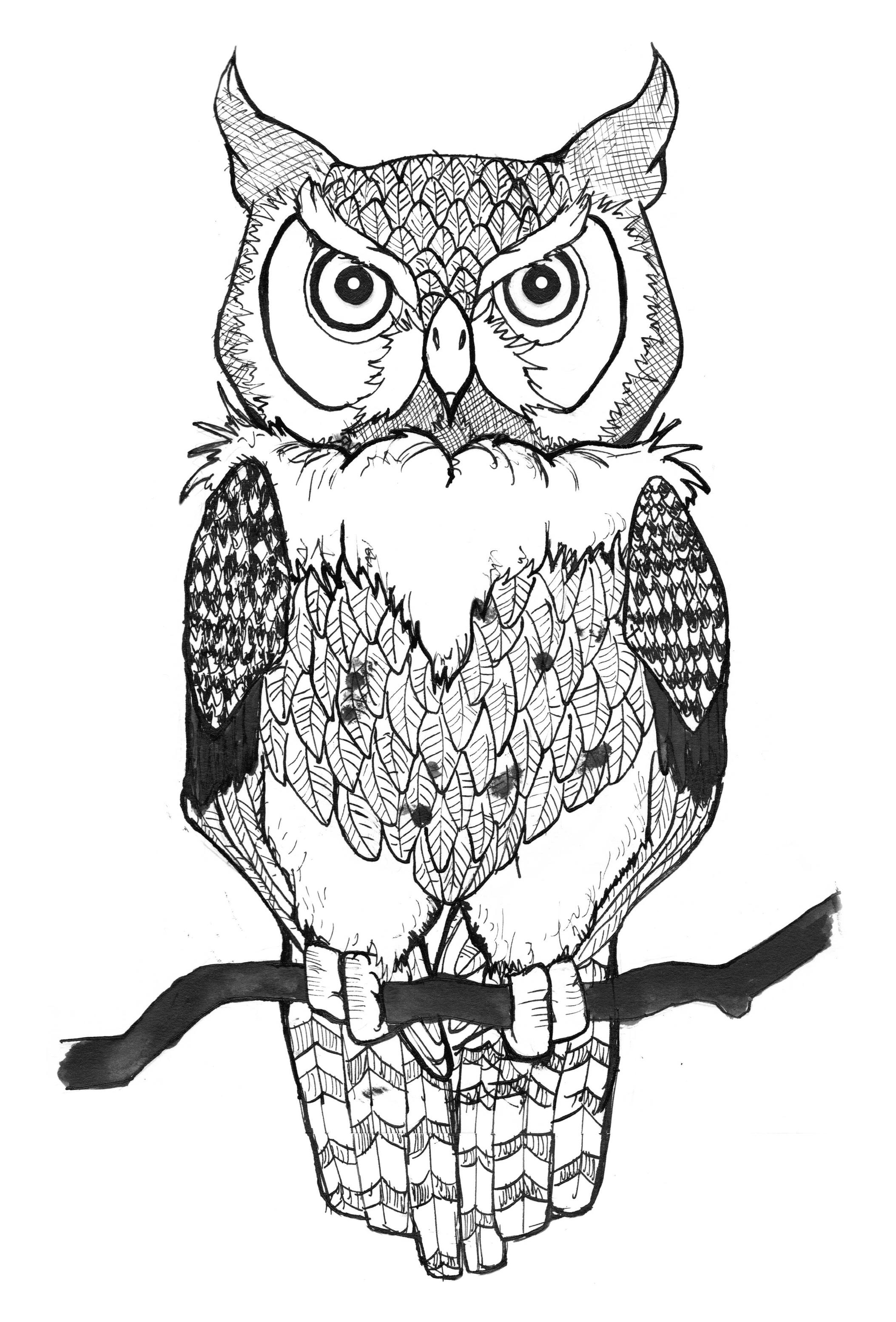unique coloring pages owl designs - photo #13